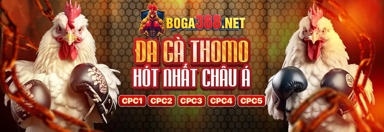 Cược miễn phí cho trận đấu đầu tiên