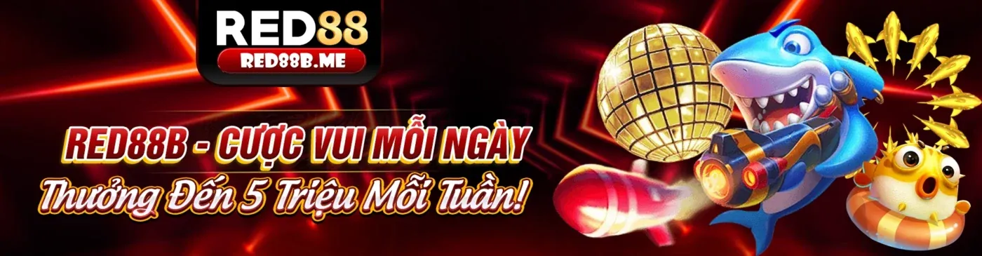 Hình ảnh minh họa quyền và trách nhiệm của nền tảng trong việc bảo vệ người dùng và duy trì môi trường cá cược công bằng.